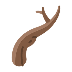 R$ 488,95/Ton - Mandioca